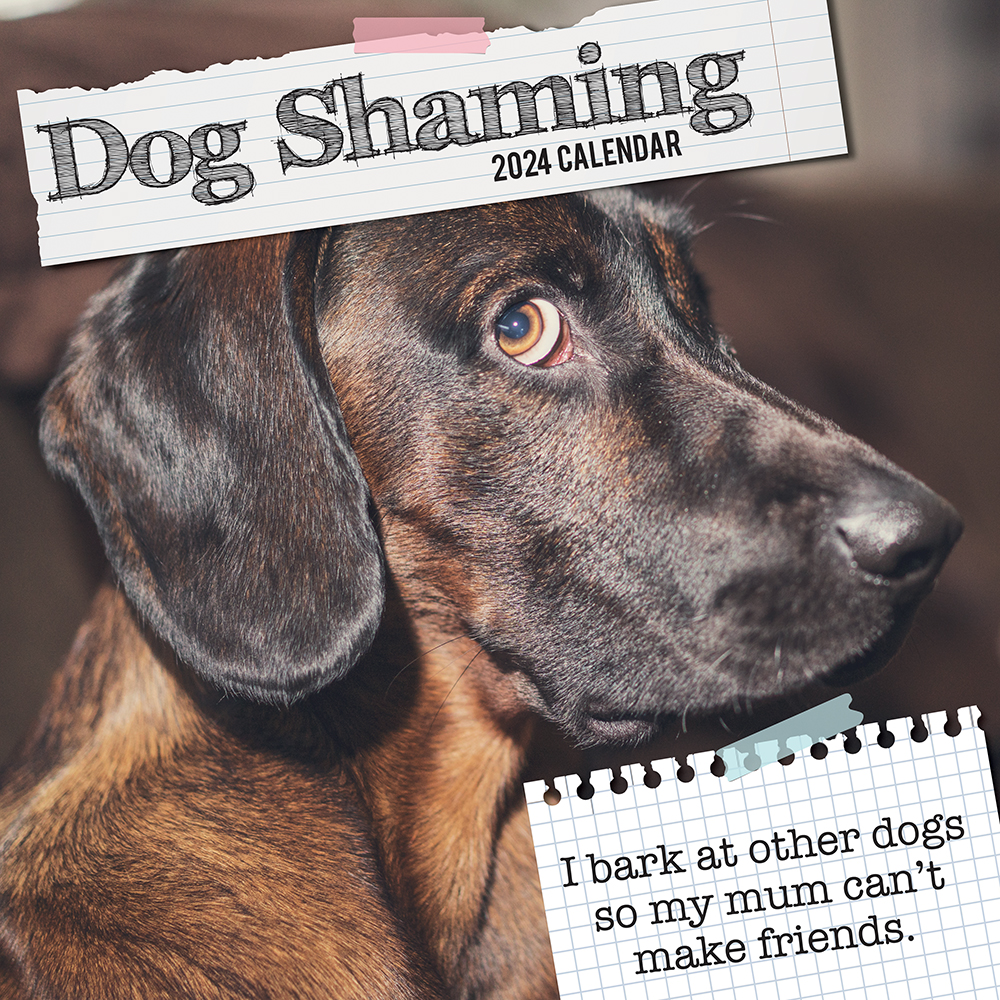 2024 Square Wall Calendar Dog Shaming The Gifted Stationery Company