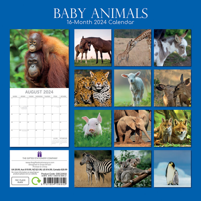 2024-square-wall-calendar-baby-animals-the-gifted-stationery-company