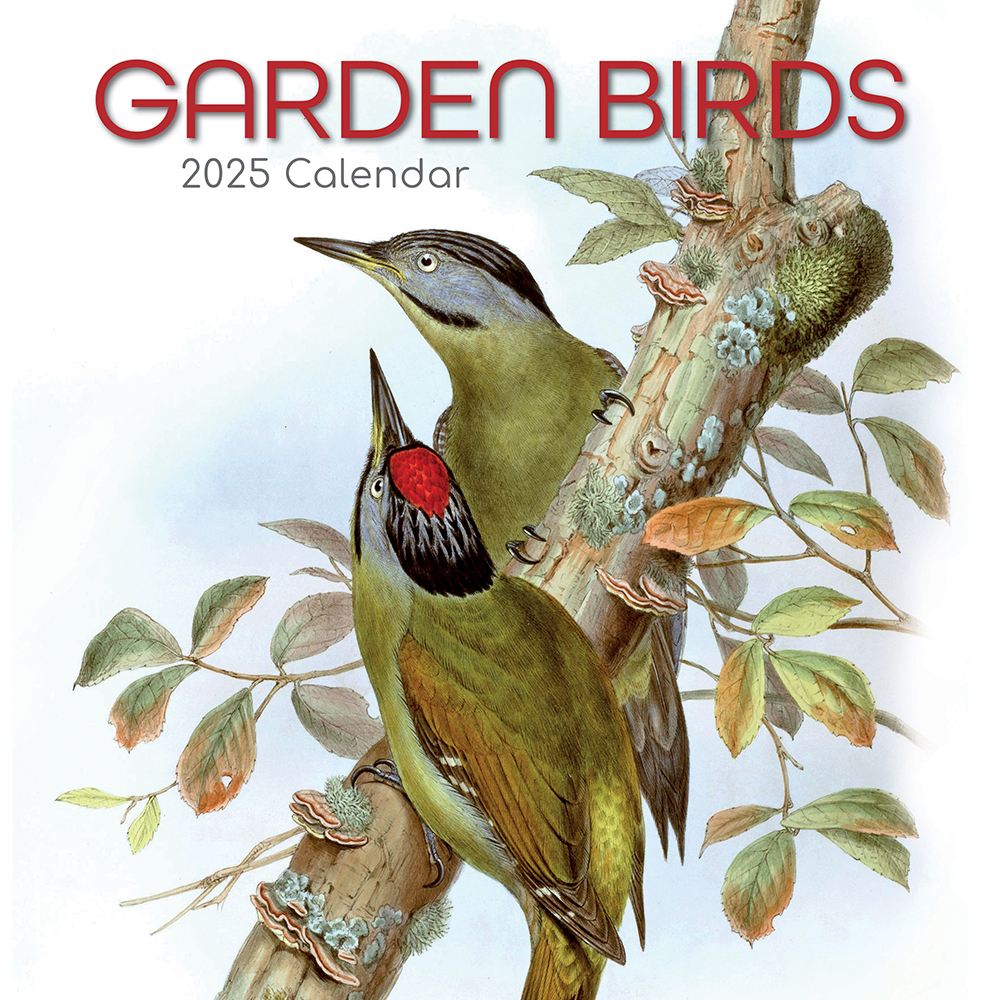 2025-square-wall-calendar-garden-birds-the-gifted-stationery-company