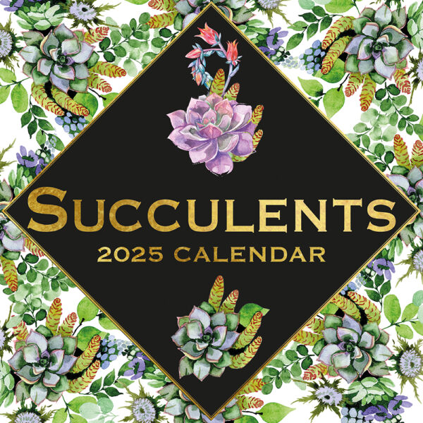 2025 Square Wall Calendar Succulents Wholesale Stationery