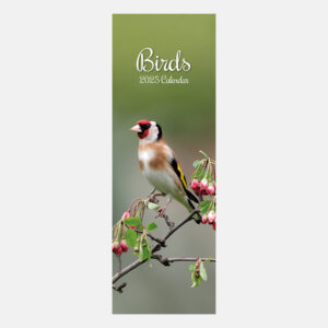 2025 Slimline Calendar - Birds