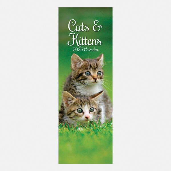 2025 Slimline Calendar Cats & Kittens Wholesale Stationery