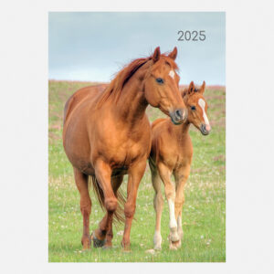 2025 A5 Padded Diary - Horses