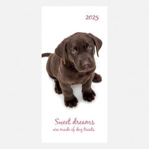 2025 Pocket Diary - Adorable Dogs
