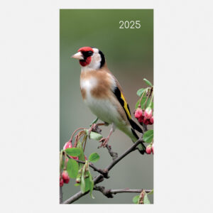 2025 Pocket Diary - Birds