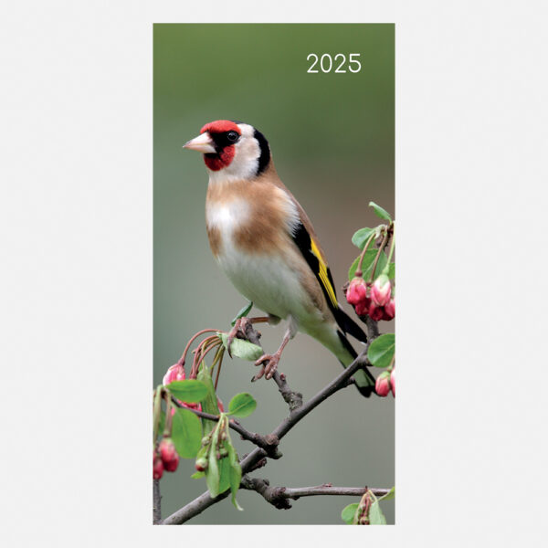 2025 Pocket Diary - Birds