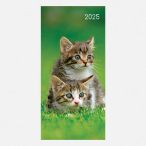 2025 Pocket Diary - Cats & Kittens