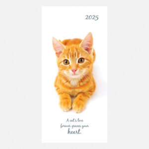 2025 Pocket Diary - Cute Kittens