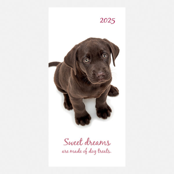 2025 dog pocket diary