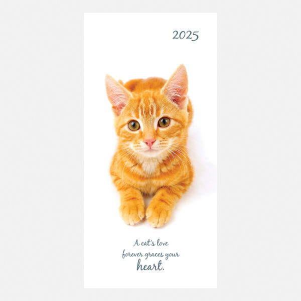 2025 cat pocket diary