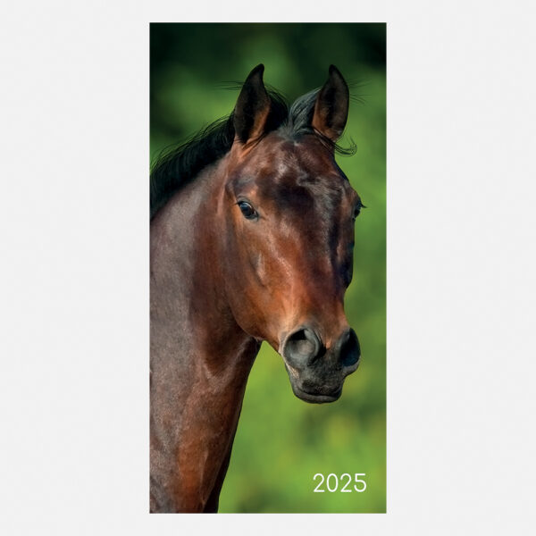 2025 horse pocket diary