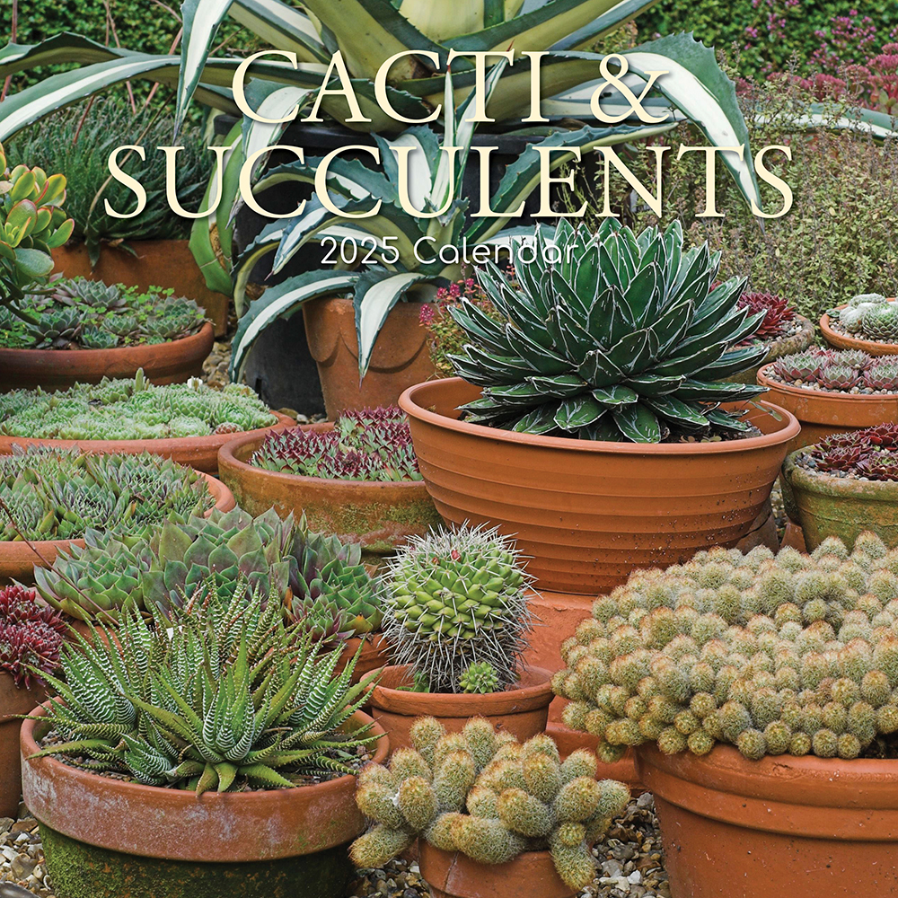 2025 Square Wall Calendar Cacti & Succulents Wholesale Stationery