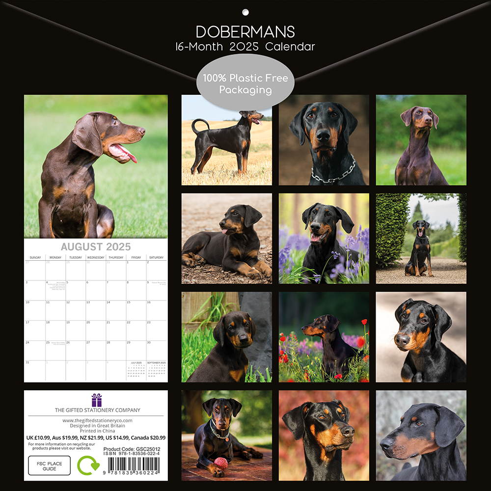 2025 Square Wall Calendar Dobermans Wholesale Stationery