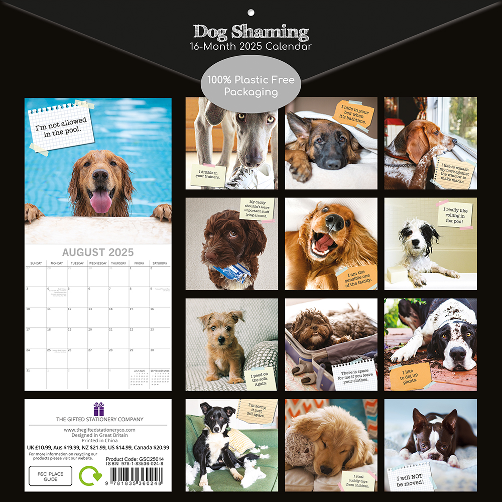 2025 Square Wall Calendar Dog Shaming Wholesale Stationery