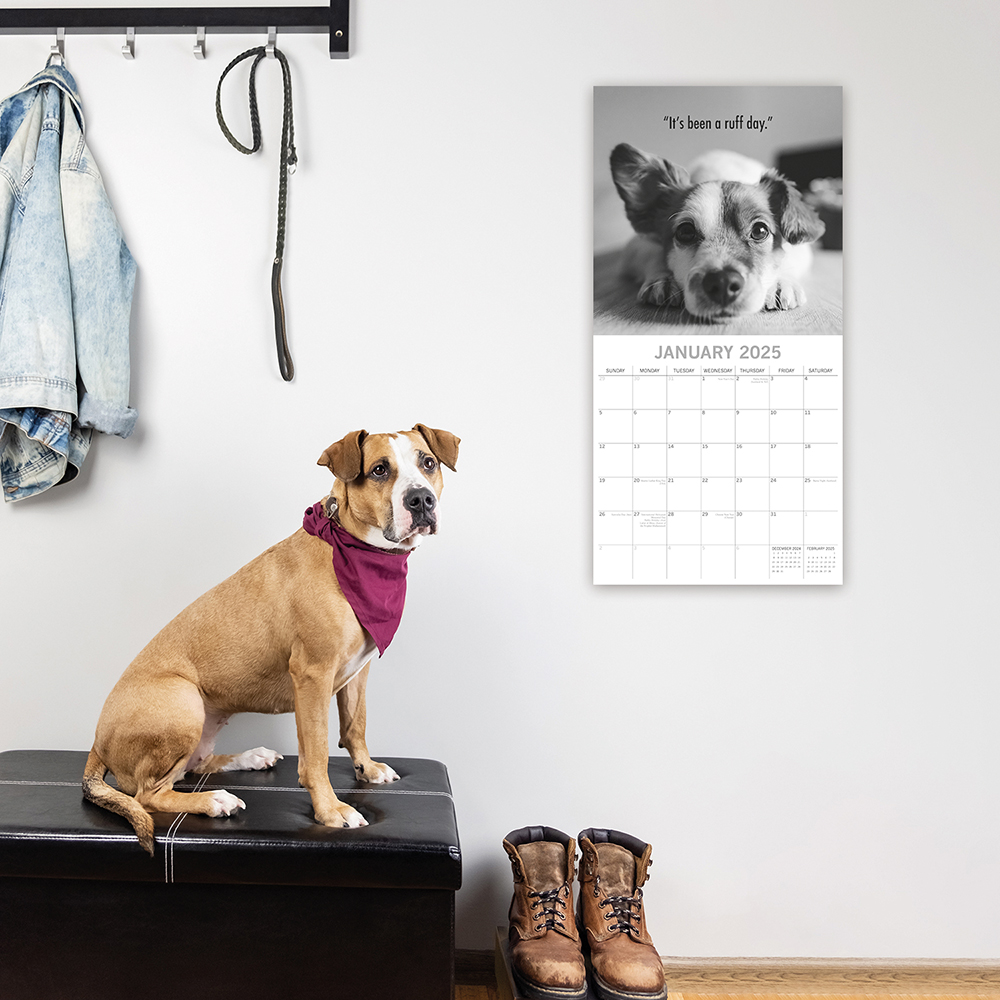 2025 Square Wall Calendar Mutts Wholesale Stationery