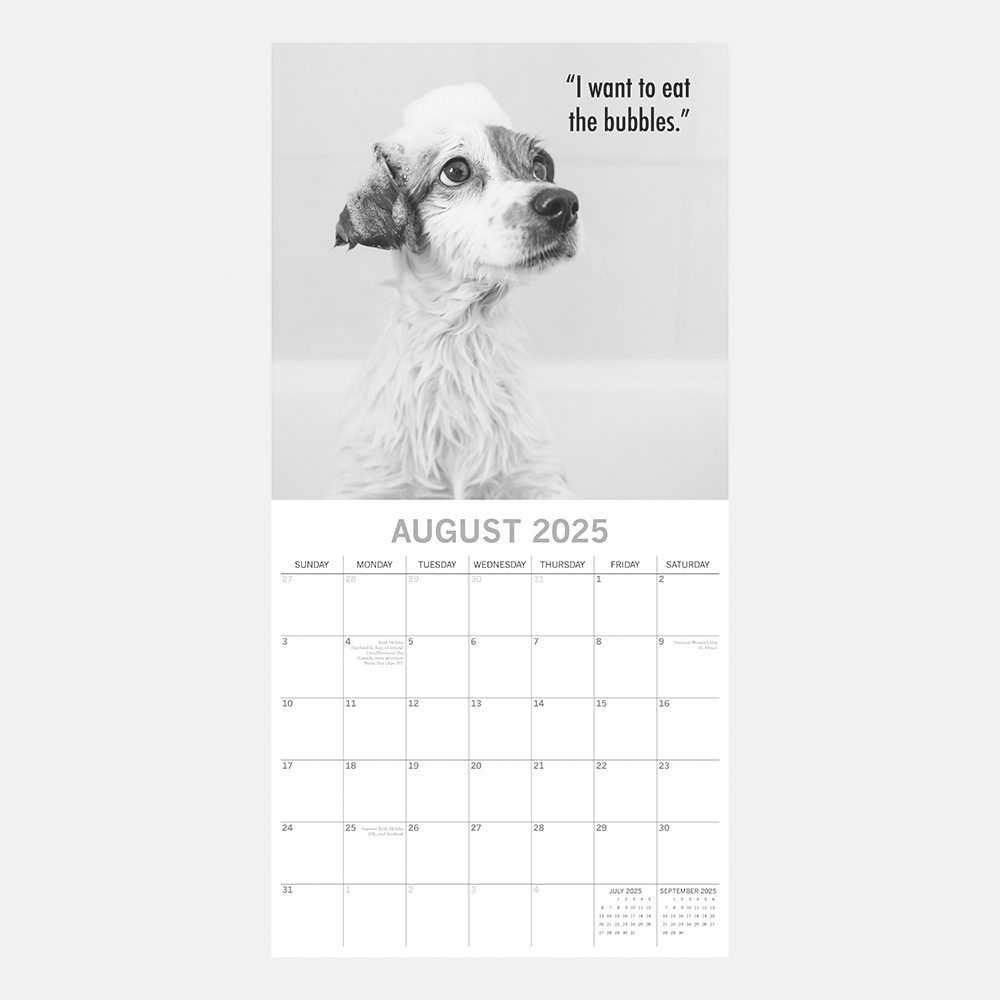 2025 Square Wall Calendar Mutts Wholesale Stationery