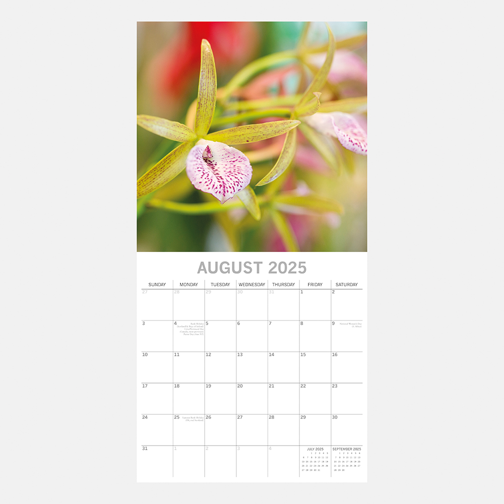 2025 Square Wall Calendar Orchids Wholesale Stationery
