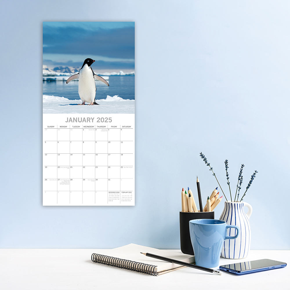 2025 Square Wall Calendar Penguins Wholesale Stationery