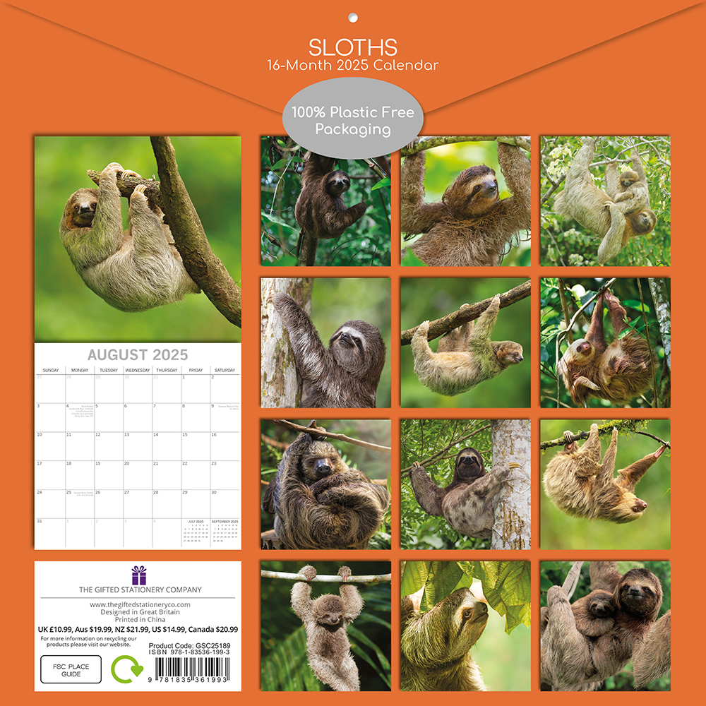 2025 Square Wall Calendar Sloths Wholesale Stationery