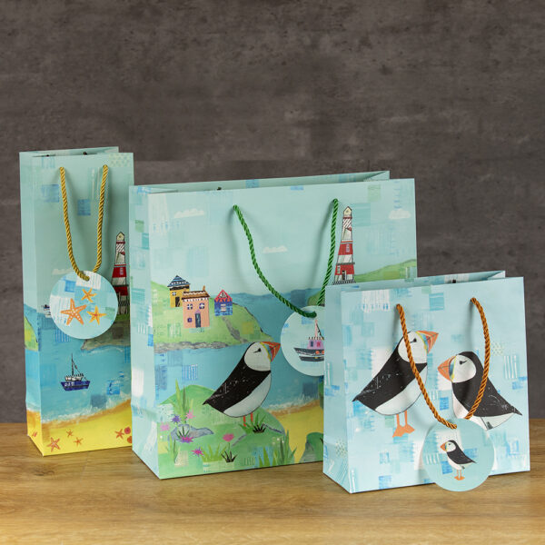 Gift Bag (Medium) - Sea Breeze - Image 3