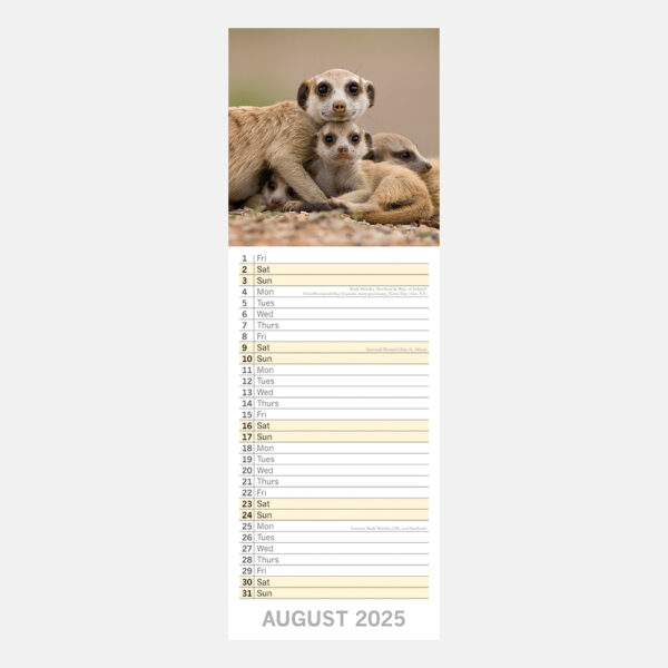 2025 Slimline Calendar - Adorable Animals - Image 3