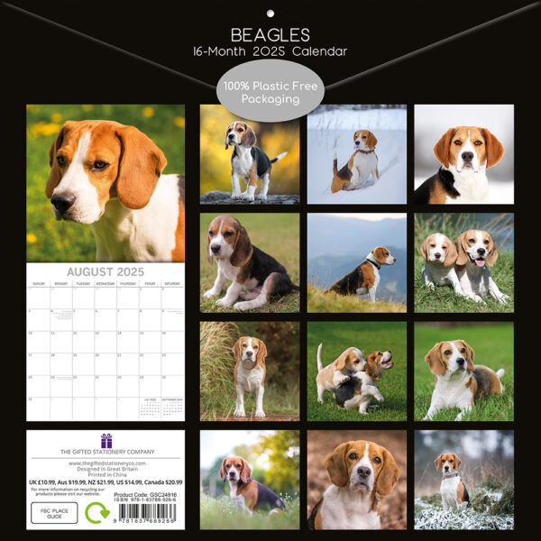 2025 Square Wall Calendar Beagles Wholesale Stationery