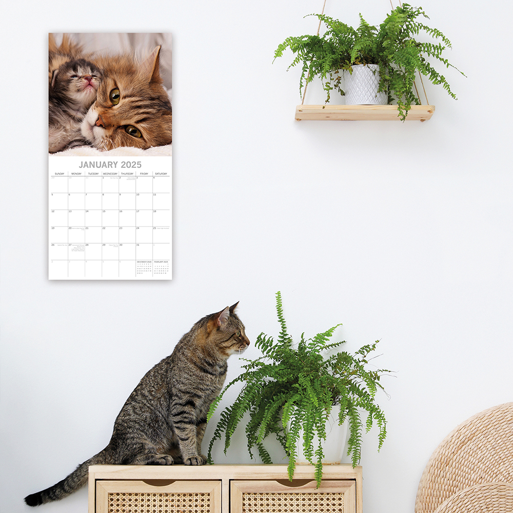 2025 Square Wall Calendar Cats & Kittens Wholesale Stationery