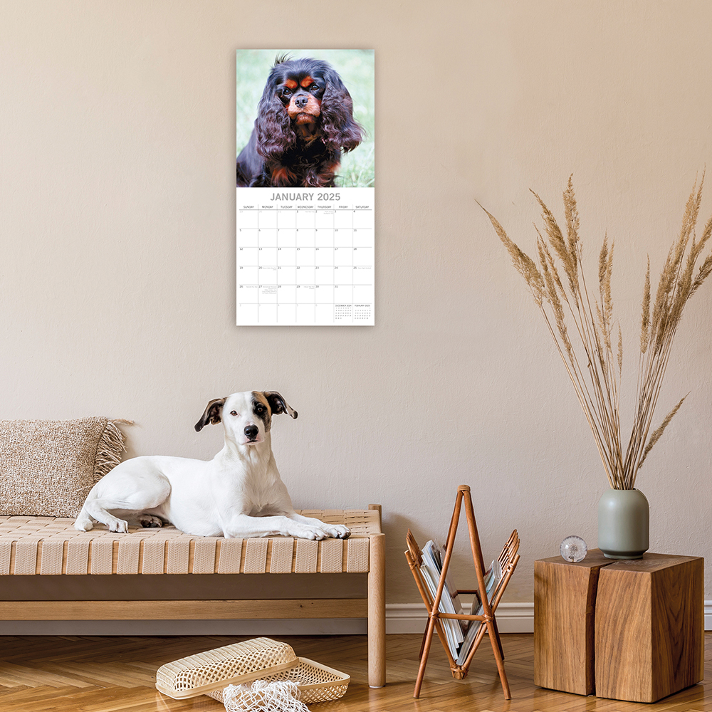 2025 Square Wall Calendar Cavalier King Charles Spaniels Wholesale