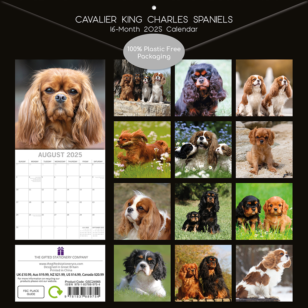 2025 Square Wall Calendar Cavalier King Charles Spaniels Wholesale