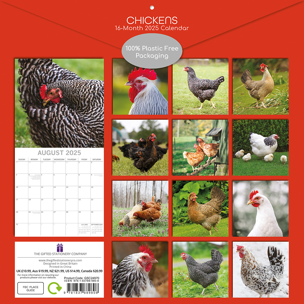 2025 Square Wall Calendar Chickens Wholesale Stationery