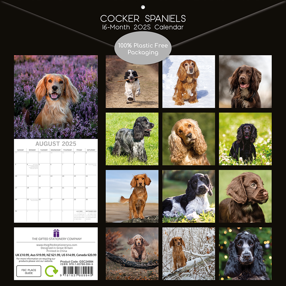 2025 Square Wall Calendar Cocker Spaniels Wholesale Stationery