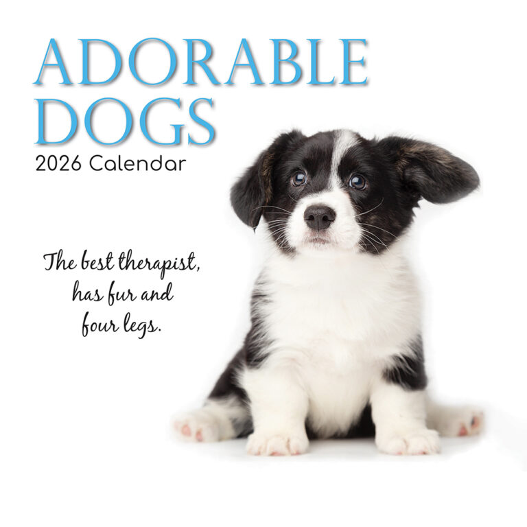 2026 Square Wall Calendar Adorable Dogs Wholesale Stationery