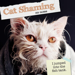 2026 Square Wall Calendar - Cat Shaming