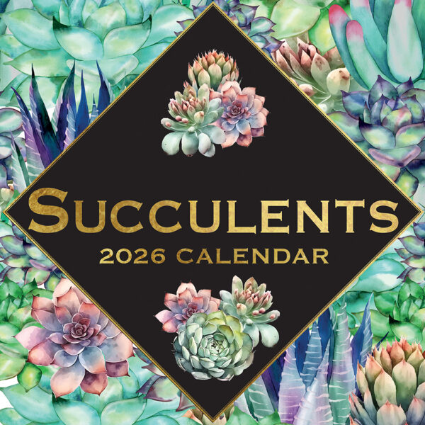 2026 Square Wall Calendar - Succulents