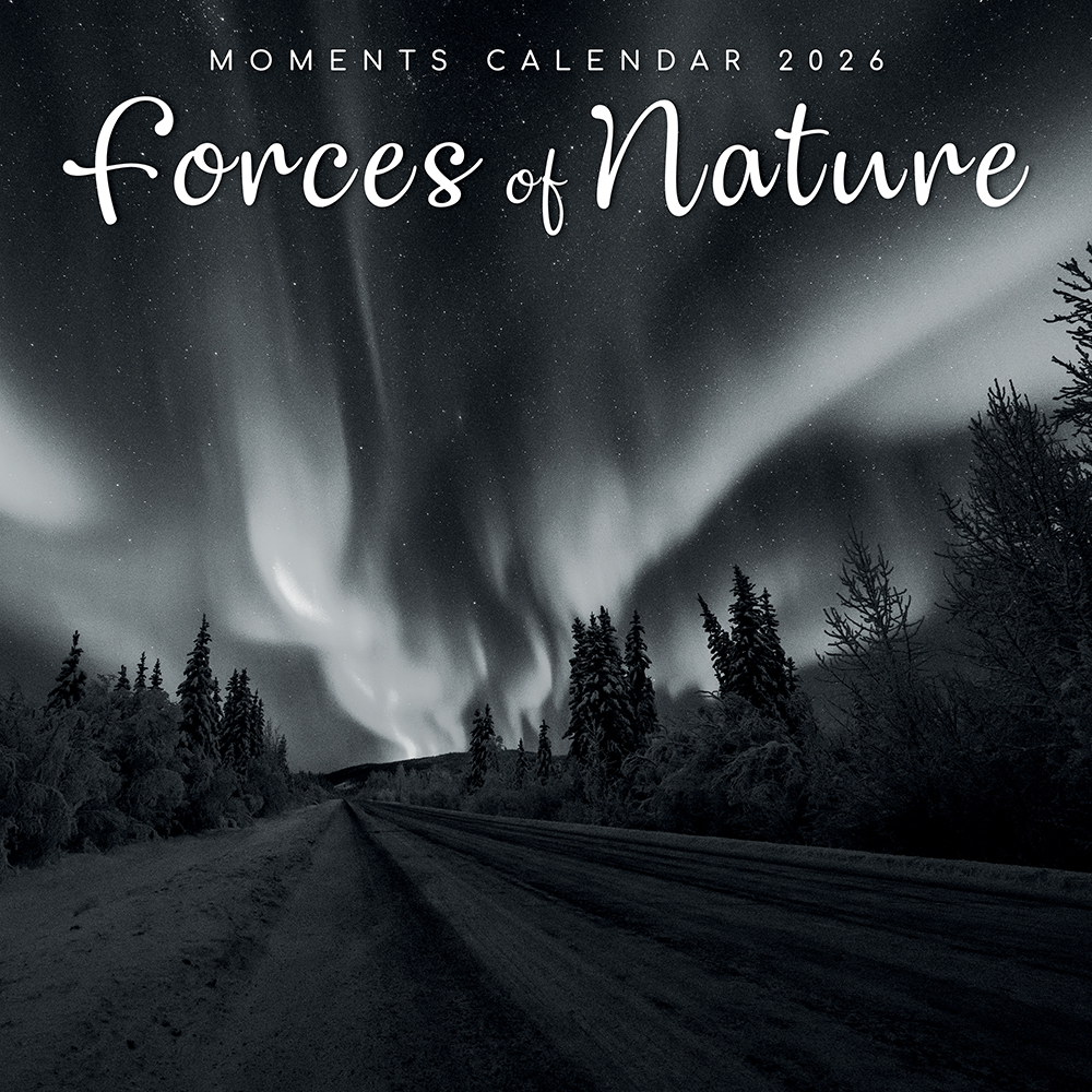 thumbnail image 2 of Trends International 2024 Nature's Bouquet Wall Calendar & Magnetic 2 of 9