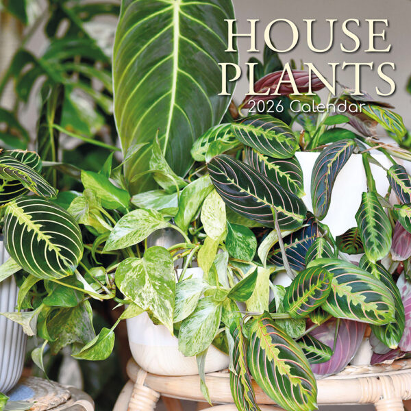 2026 Square Wall Calendar - House Plants