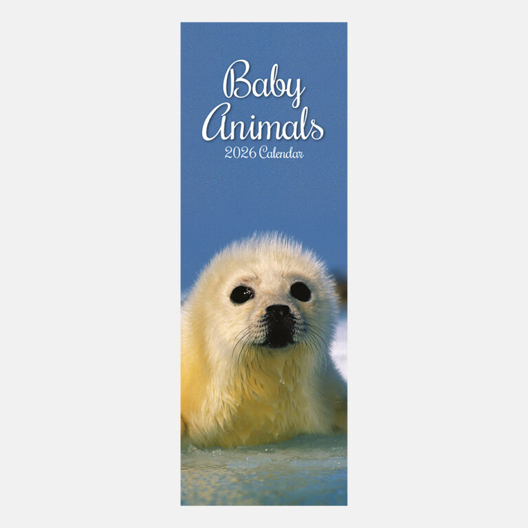 2026 slim calendars wholesale trade stationery products