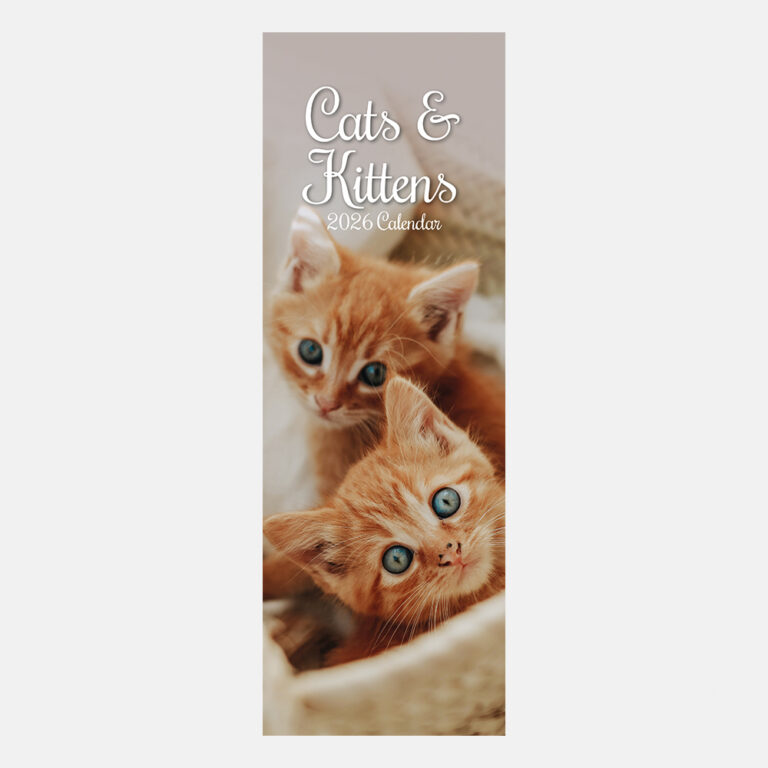 2026 Slim Calendars Wholesale Trade Stationery Products