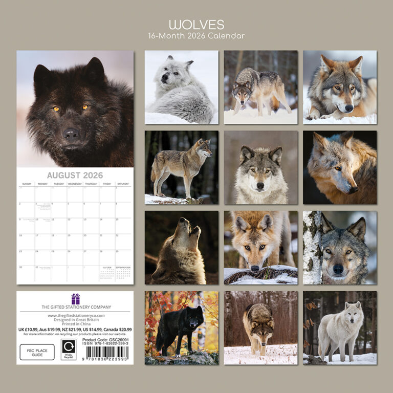 2026 Square Wall Calendar Wolves Wholesale Stationery