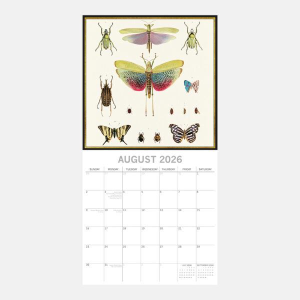 2026 Square Wall Calendar - Insects - Image 3
