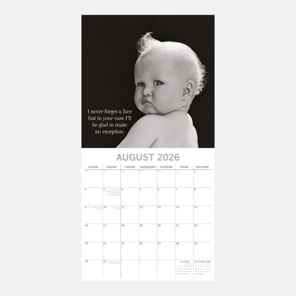 2026 Square Wall Calendar - Witty One Liners - Image 3