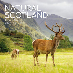 2027 Square Wall Calendar - Scotland (Natural)