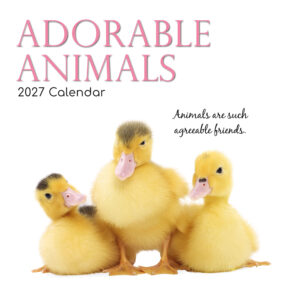 2027 Square Wall Calendar - Adorable Animals