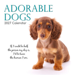2027 Square Wall Calendar - Adorable Dogs