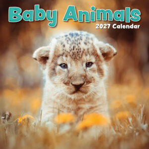 2027 Square Wall Calendar - Baby Animals