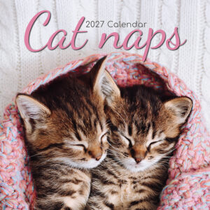 2027 Square Wall Calendar - Cat Naps