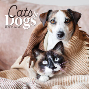 2027 Square Wall Calendar - Cats & Dogs