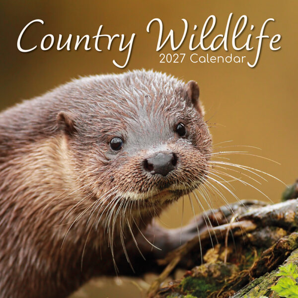 2027 Square Wall Calendar - Country Wildlife | Wholesale Stationery