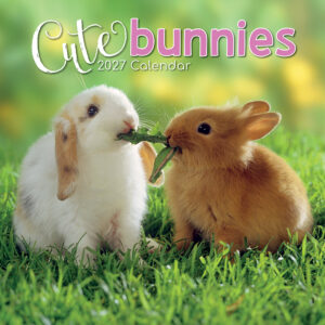 2027 Square Wall Calendar - Cute Bunnies