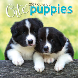 2027 Square Wall Calendar - Cute Puppies